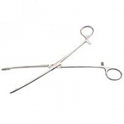 Костодержатели